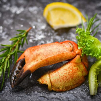 Fresh Florida Stone Crab Claws